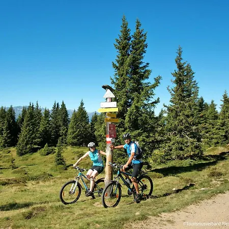 Mooslehen-3 By Interhome Lägenhet